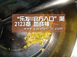 乐发ll官方入口