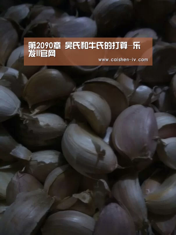 第2090章 吴氏和牛氏的打算-乐发ll官网