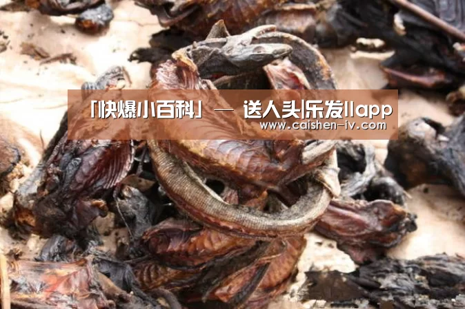 「快爆小百科」— 送人头|乐发llapp(图1) 乐发llapp