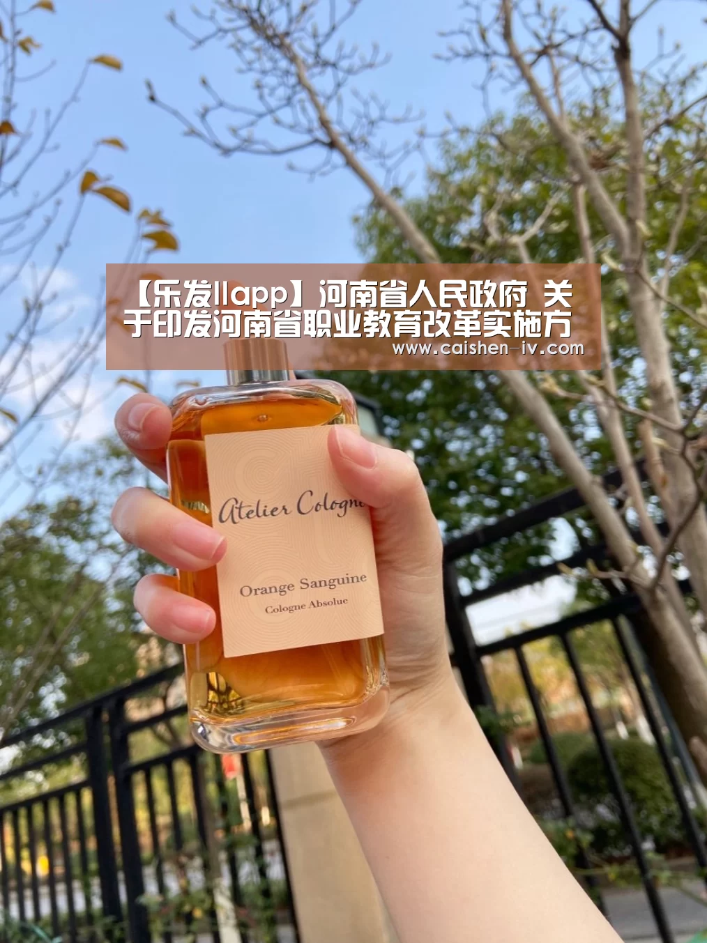 【乐发llapp】河南省人民政府　关于印发河南省职业教育改革