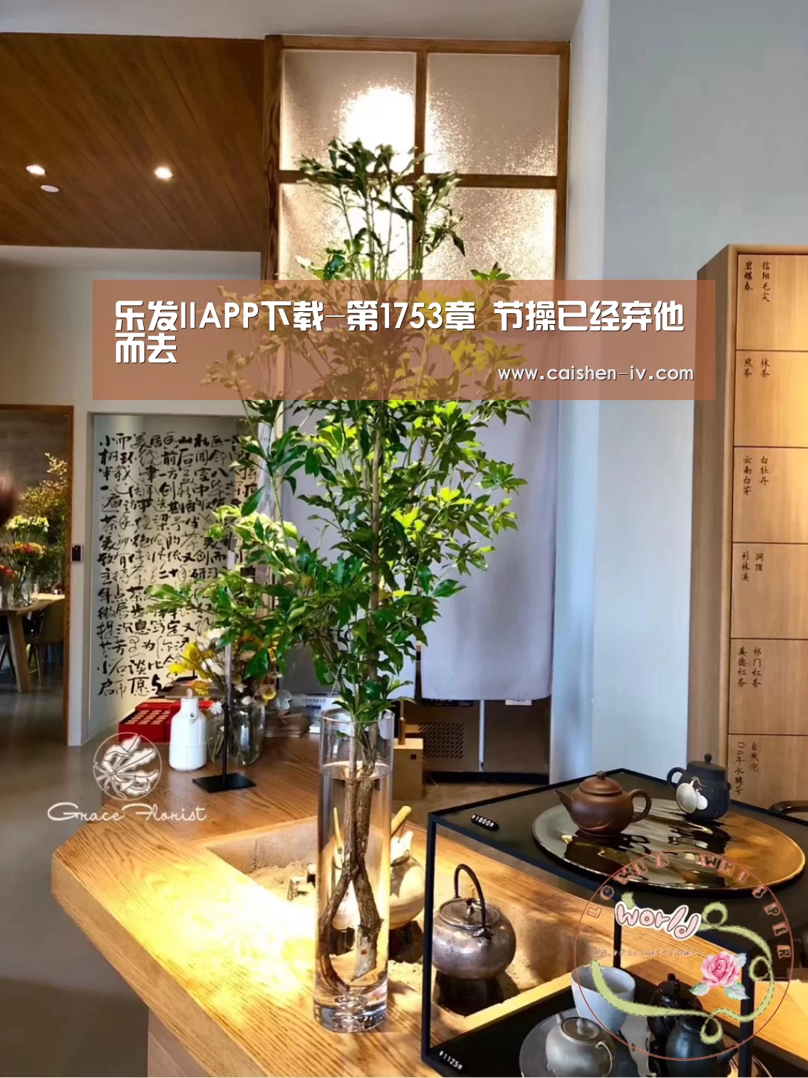 乐发llAPP下载