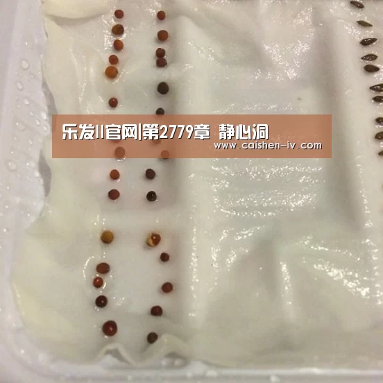 乐发ll官方入口